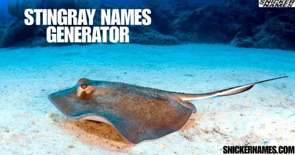 Stingray Names Generator