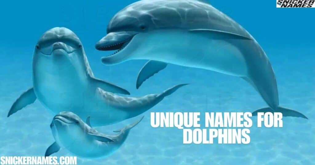 Unique Names for Dolphins