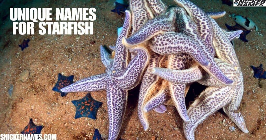 Unique Names for Starfish