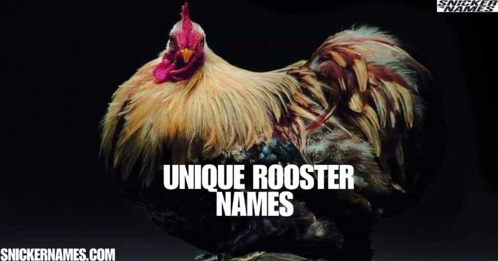 Unique Rooster Names 