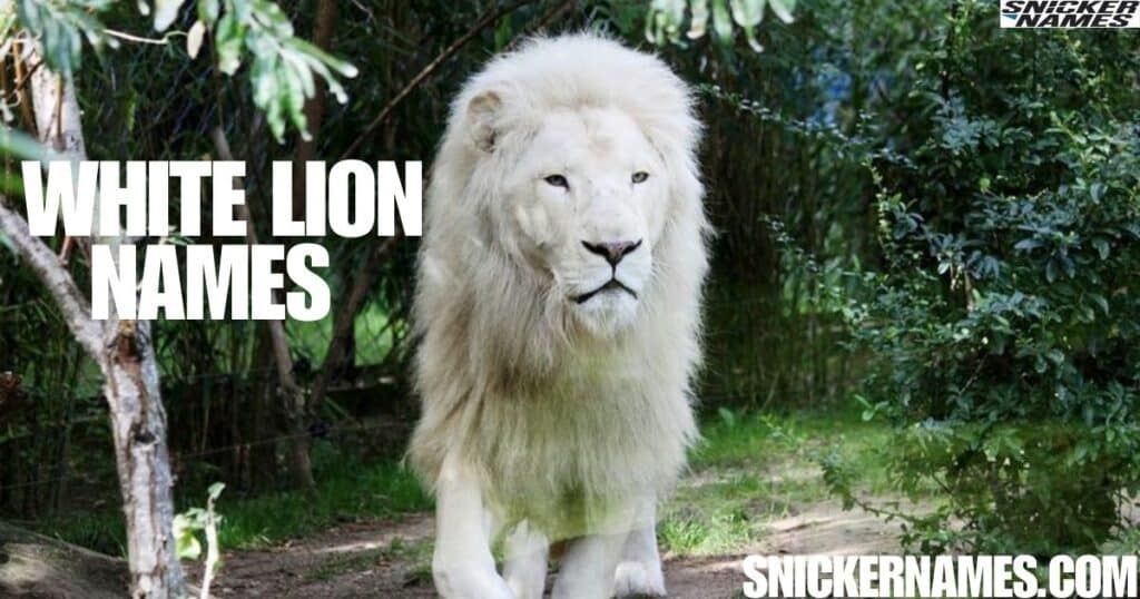 White Lion Names 