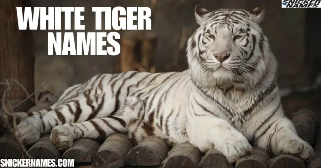 White Tiger Names