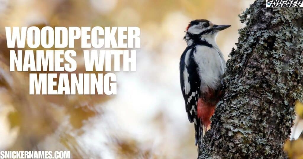 Woodpecker Names With Meaning